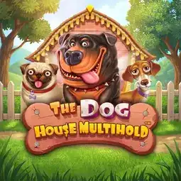 The Dog House Multihold game at JeffBet Casino for United Kingdom players The Dog House Multihold game at JeffBet Casino for United Kingdom players
